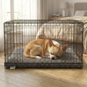 Super Absorbent Puppy Mat & Puppy Pad for Dogs | Muddy Mat®